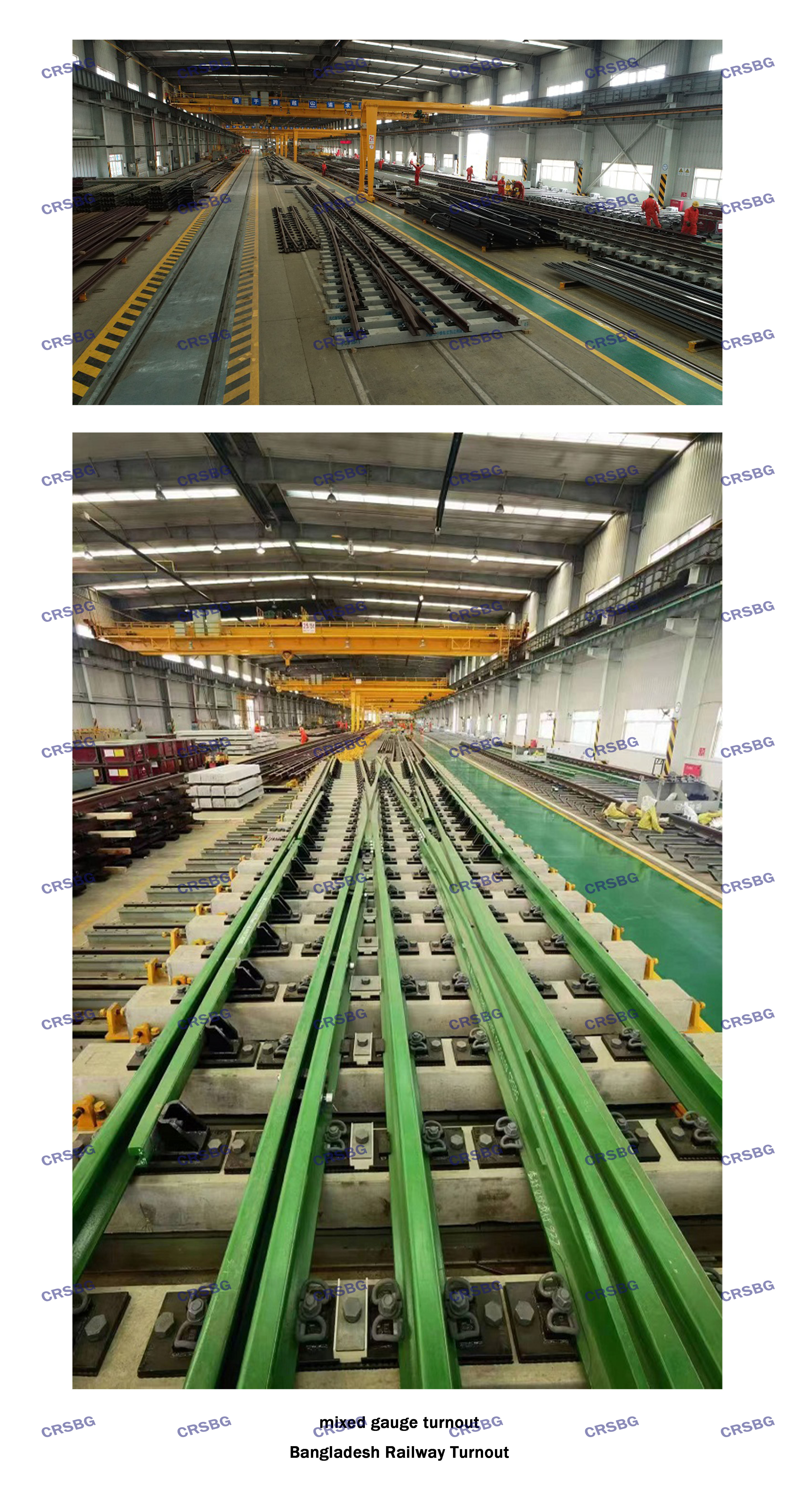 MIXED GAUGE TURNOUT（CRSBG水?。?jpg